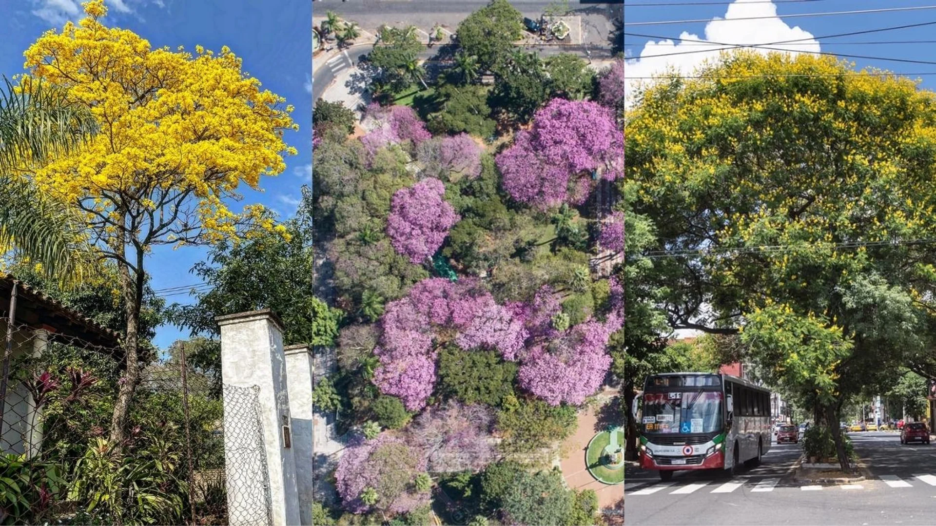 Want to live a peaceful life?